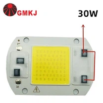Puce LED 30W 220V Blanc 6000K