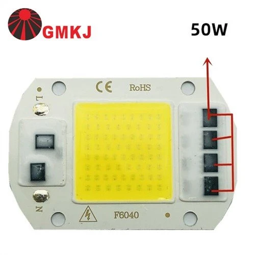 Puce LED 50W 220V Entrée